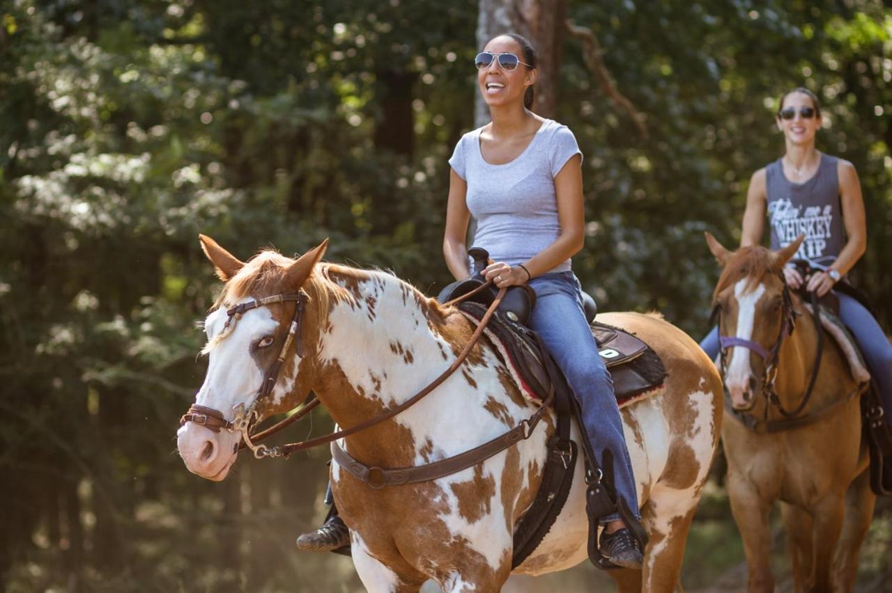 Southern Cross Guest Ranch Медісон Екстер'єр фото